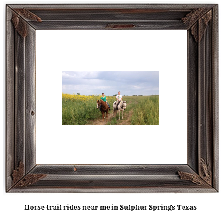 horse trail rides near me in Sulphur Springs, Texas